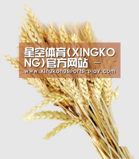 星空体育(XINGKONG)官方网站 - 体育赛事