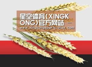 星空体育(XINGKONG)官方网站 - 体育赛事