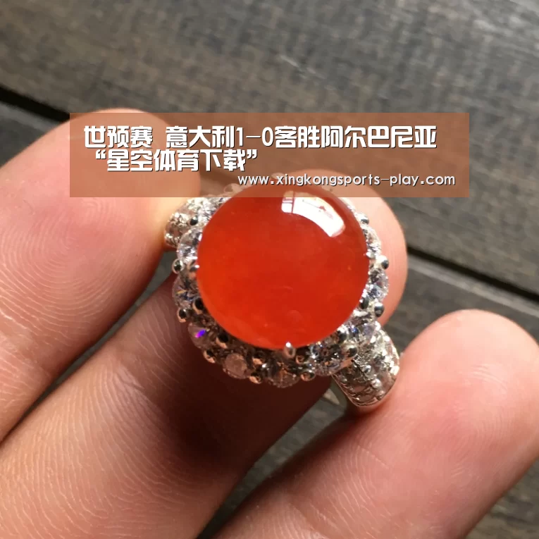 世预赛 意大利1-0客胜阿尔巴尼亚“星空体育下载”(图2) 星空体育电脑版下载