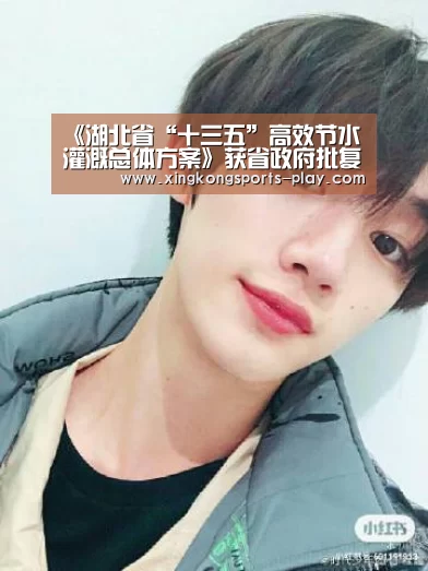 《湖北省“十三五”高效节水灌溉总体方案》获省政府批复:星空体育app下载(图2) 星空体育下载